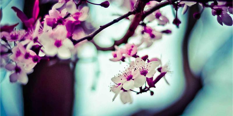 AI驱动的SEO革命：利用人工智能工具进行关键词研究与内容生成的新方法