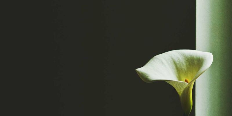 人工智能驱动百度优化新纪元：从网络营销策略到中国易搜排名的智能升级