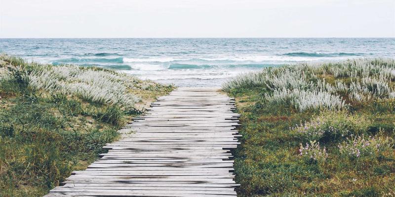 国际SEO策略：多语言多地区市场的网站架构与内容本地化实战指南