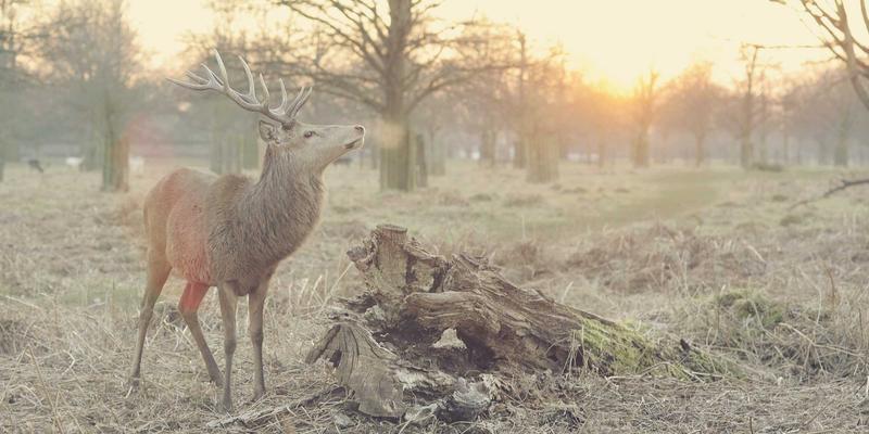 技术性SEO审计清单：10个关键步骤提升网站健康度与谷歌排名