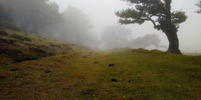 搜索引擎优化52：揭秘谷歌排名算法与网站推广的实战策略