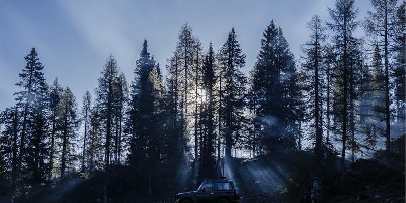 搜索引擎优化68：谷歌排名与百度优化的双轨策略解析