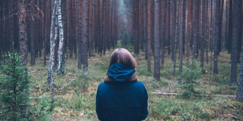 搜索引擎优化实战指南：如何通过网站推广与谷歌排名提升网络营销效果