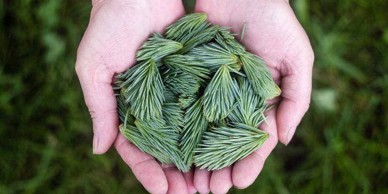 本地搜索引擎优化策略：如何让您的实体店在百度地图和高德地图上脱颖而出