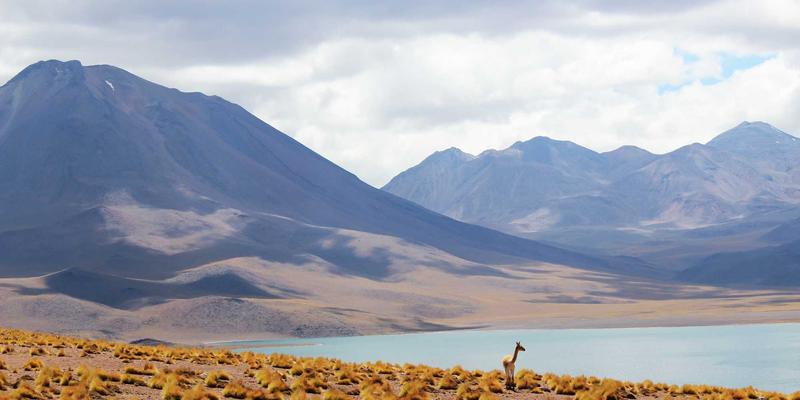 超越基础：利用Google Search Console高级功能进行深度SEO诊断与机会挖掘，提升谷歌排名与百度优化效果